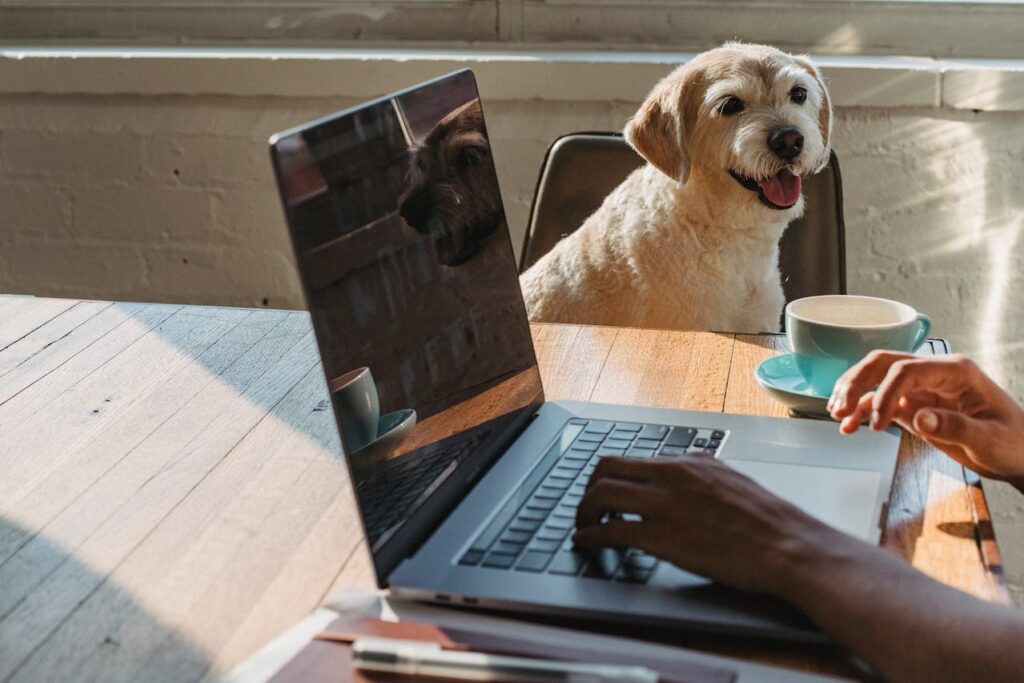 How to Build a Strong Bond with Your Pet