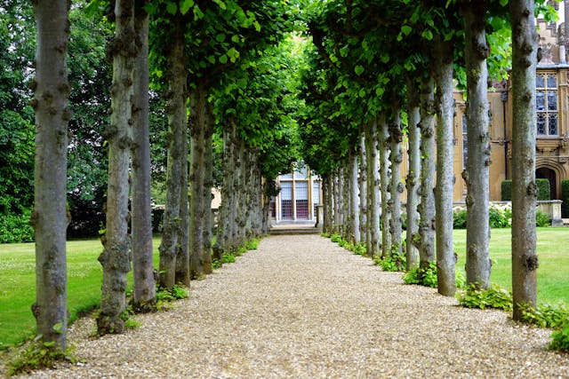 How to Create the Perfect Yard Space