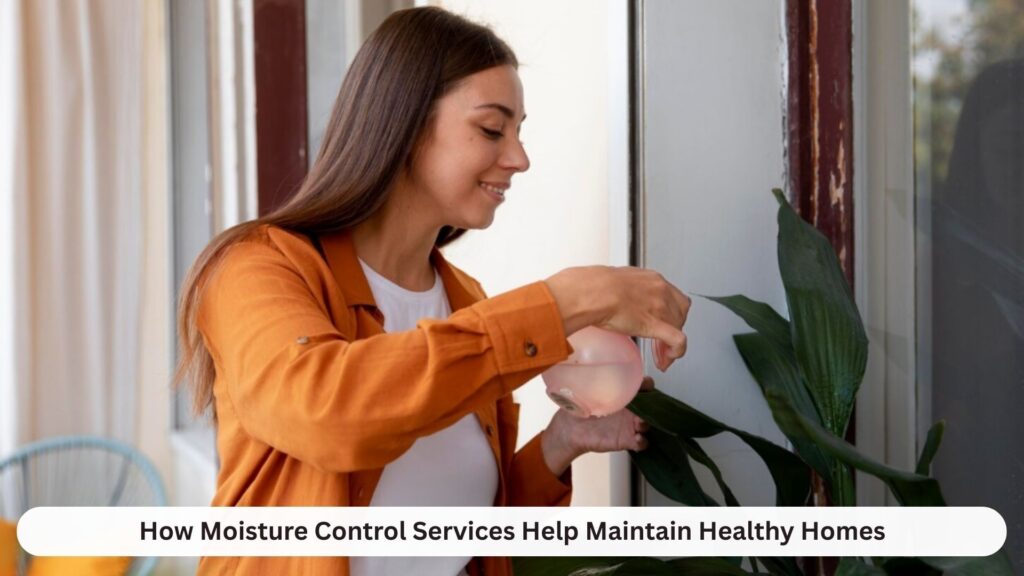 How Moisture Control Services Help Maintain Healthy Homes