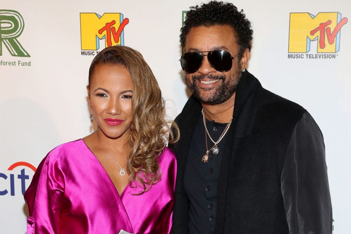 The Professional Connection Between Rebecca Packer and Shaggy